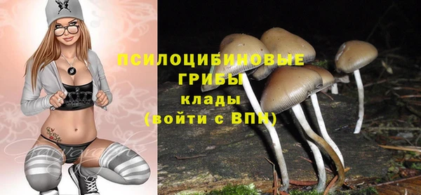 прущая мука Балахна